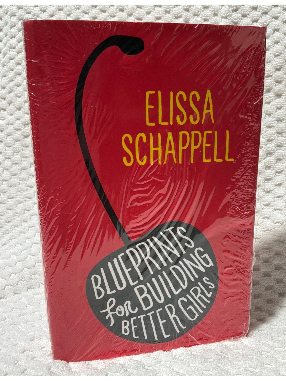 Blueprints for Building Better Girls by Elissa Schappell
